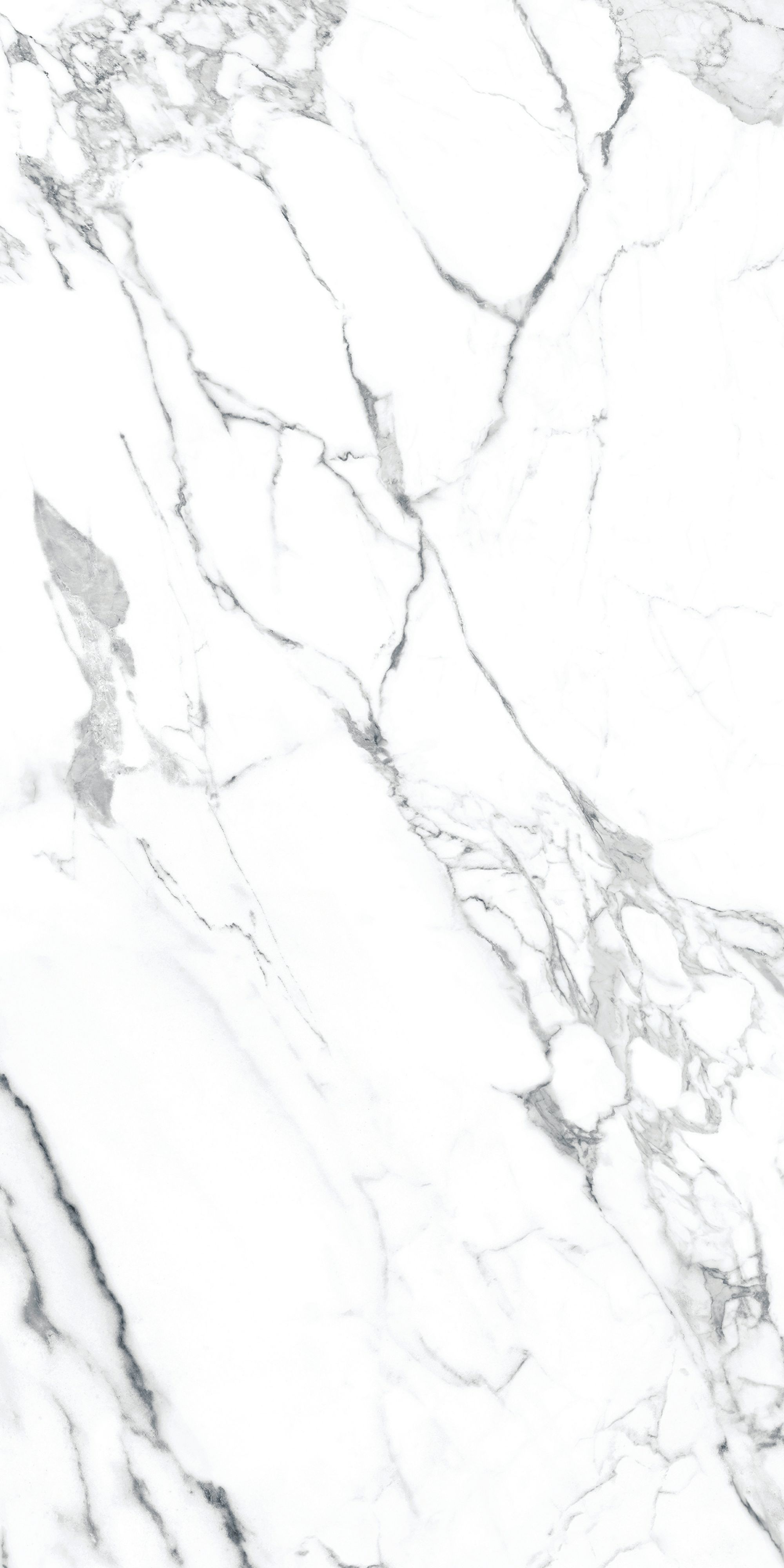 RT612018 伊莉莎白