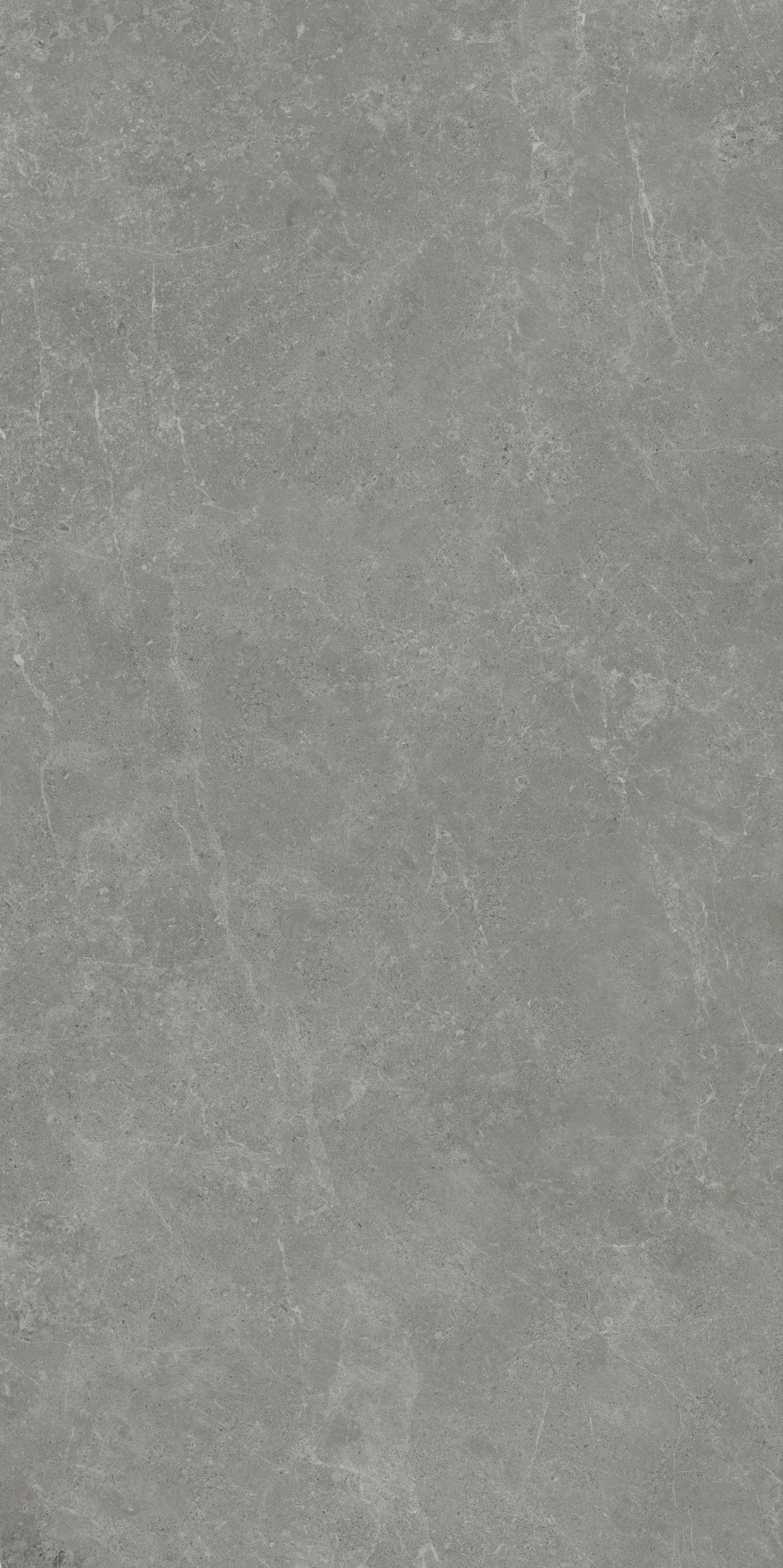 RT715028-2 薩拉丁